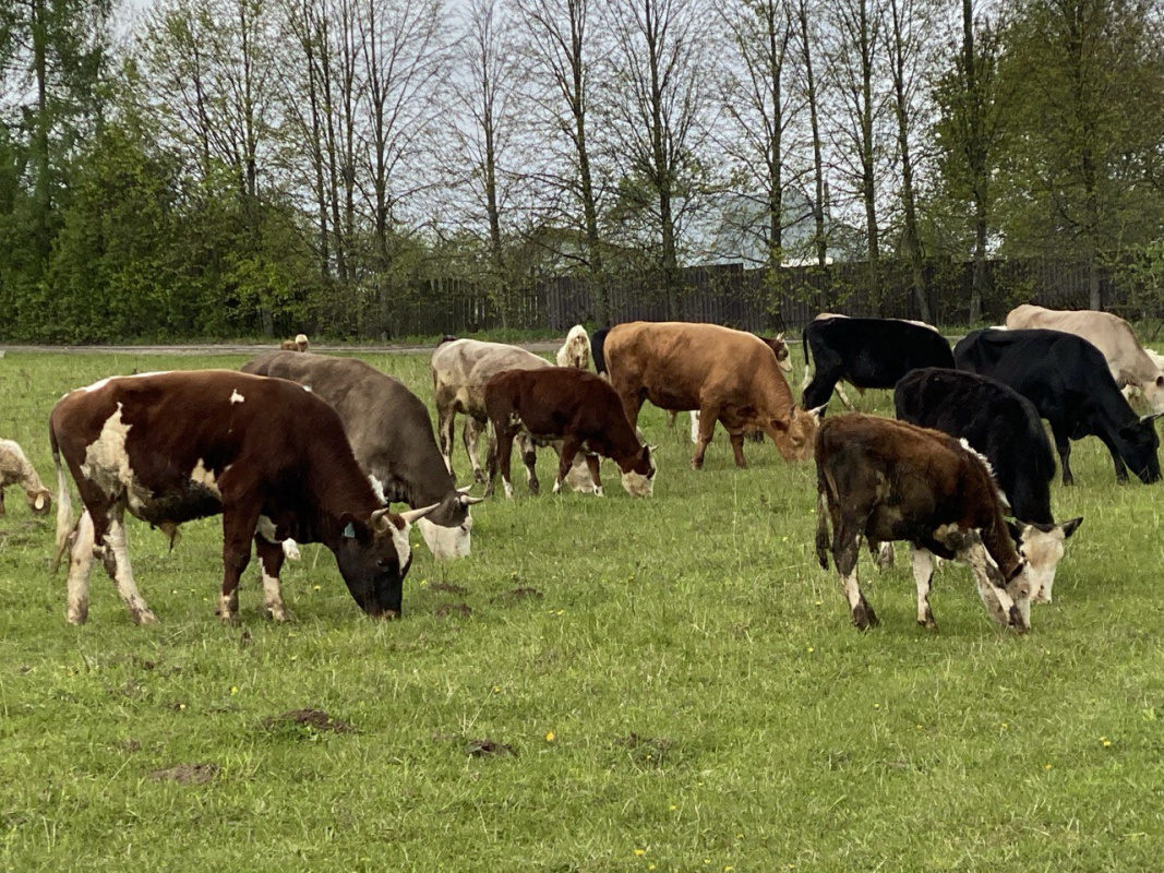 photo_2025-05-13 14.04.34.jpeg