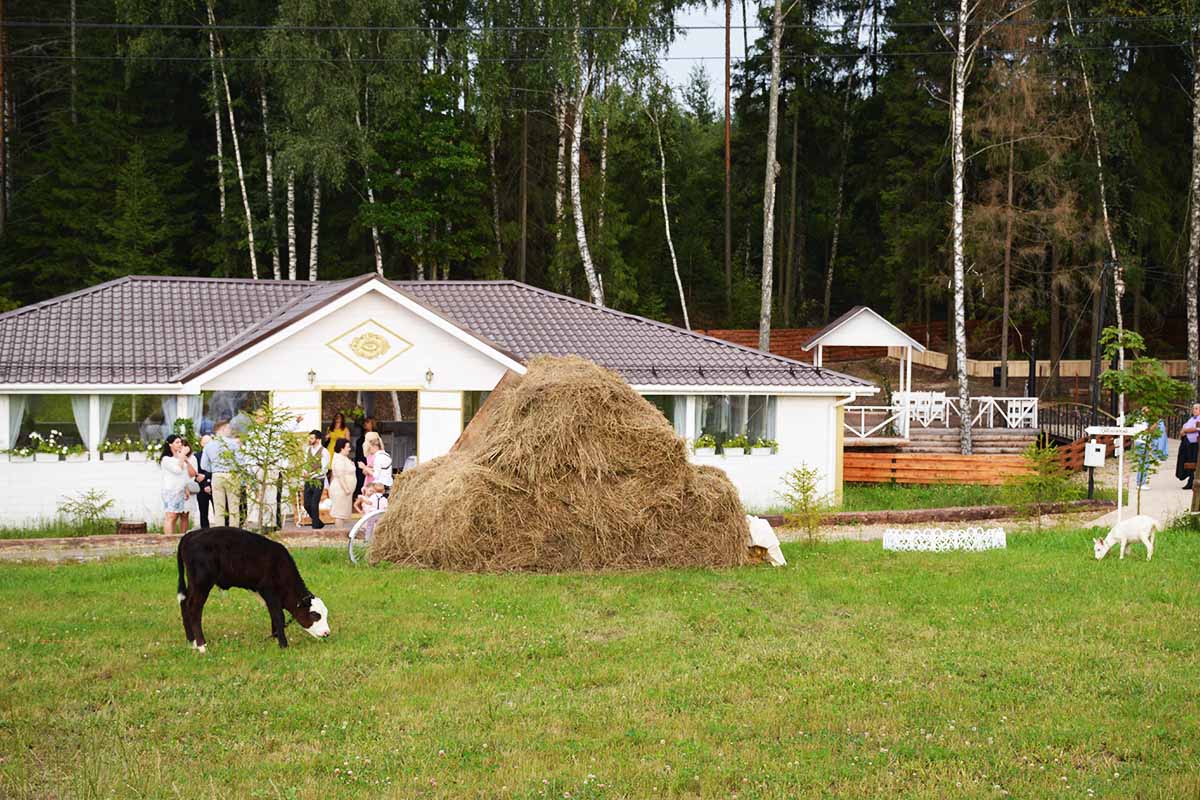шалеее.jpg