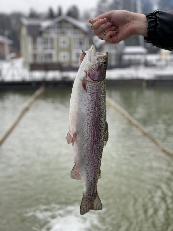 photo_2022-05-11 18.40.29.jpeg