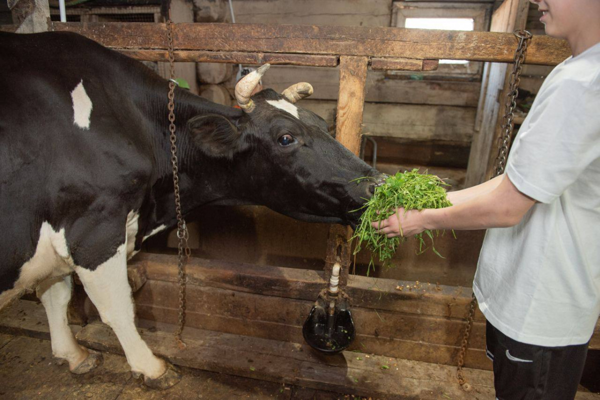 photo_2025-03-16 12.27.43.jpeg