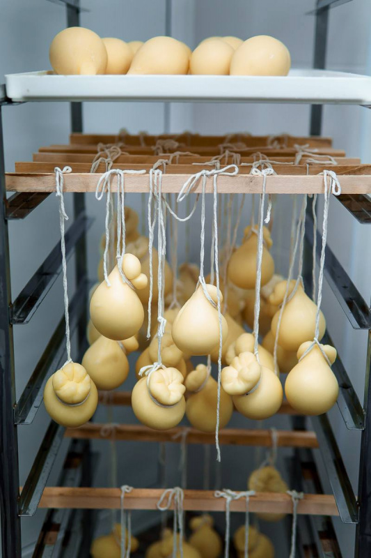 photo_2025-05-13 13.59.32.jpeg