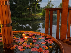 аренда коттеджа в Московской области