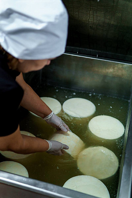 Крафтовое сыроварение в России. Спеши занять освободившуюся нишу. 