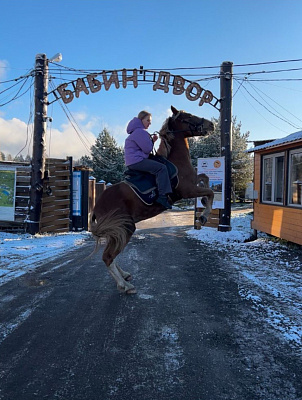 Конные прогулки