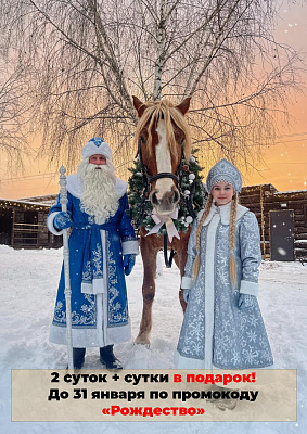 Не упустите возможность отпраздновать Рождество в сказочном месте! 