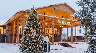 Новый год в парк-отеле «БабинДвор»