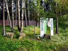 Площадка "Лебединое озеро"