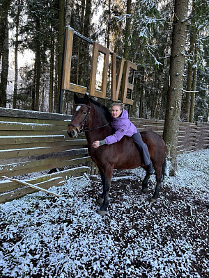 Конные прогулки